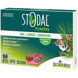 Stodal Plantes Nez & Gorge & Bronches Fruits Rouges 36comp