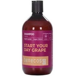 Shampooing Volume Raisin Vegan 500ml