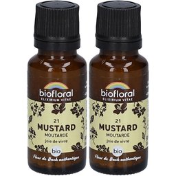 Granules 21 Moutarde Bio