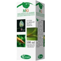 Centella Parties Aériennes Teinture Mère 100ml