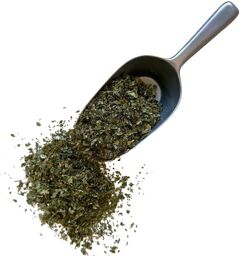 Tisane Noisetier (Coudrier) feuille 1 KILO Corylus avellana