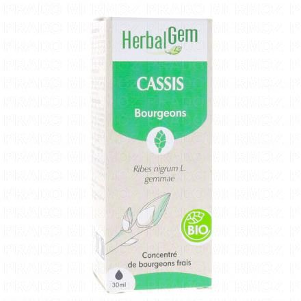 Concentré du bourgeons frais - Cassis bourgeons Bio 30ml