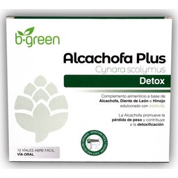 B-Artichaut vert Plus 12 pièces