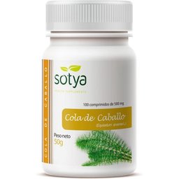 Prêle 500 mg 100 comprimés