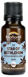 29 Star Of Bethlehem Étoile de Bethleem Granules Bio 19,5 g - Flacon 19,5 g
