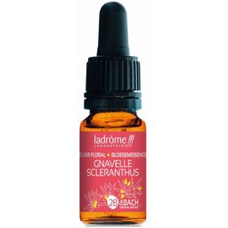 Ladrôme Gnavelle N°28