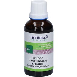 Extrait de plante fraîche Épilobe Bio