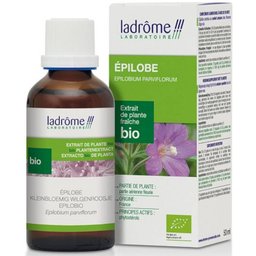 Ladrôme Extrait de plante fraîche Épilobe Bio