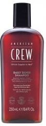 Daily Silver Shampoing Argenté Quotidien 250 ml - Flacon 250 ml