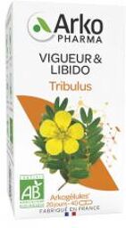 Arkogélules Tribulus Bio 40 Unités - Flacon 40 Gélules