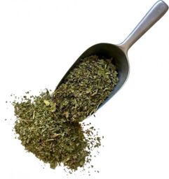 Tisane Menyanthe feuille ou Trèfle d'eau CT 1kg Menyanthes trifolia