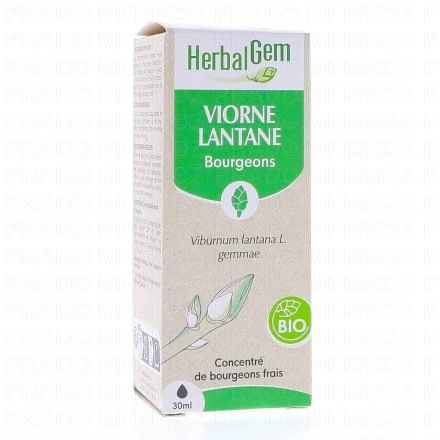 Concentré du bourgeons frais - Viorne Lantane bourgeons Bio 30ml