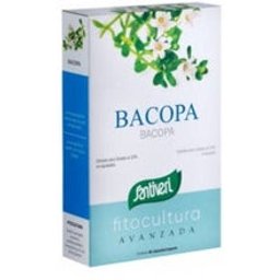 Les plantes Fit Bacopa 40Caps