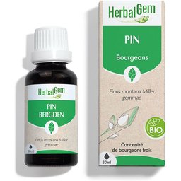 - Pin des Montagnes Bio - Complément Alimentaire  - Extrait De Bourgeon Frais - Pour Voies respiratoires et sante des os -  - 30 ml