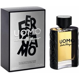 Salvatore Ferragamo Ferragamo Uomo Eau De Toilette 100ml Vaporizador