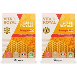 Vita'royal Gelée royale Energie Bio