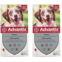 Advantix Chien moyen de 10 kg - 25 kg