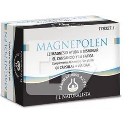 Magnepolen 60caps