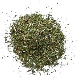 Tisane Hysope plante Hyssopus officinalis.
