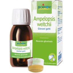 Ampelopsis Weitchii 60ml