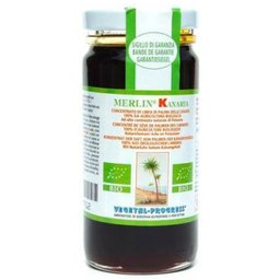 Linfa Palma Biologica 170g