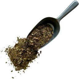 Tisane Noyer feuille Juglans regia