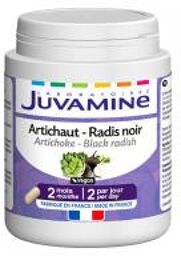 Artichaut Radis Noir 120 Gélules - Pot 120 gélules