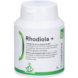 Rhodiola