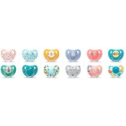 Silicone Soother T Anatomique + 18 M 2 U