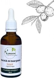 Macérât de bourgeons de Noyer - Gemmo - Juglans Regia - 50ml
