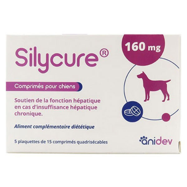 Silycure 160mg 75 Comprimés