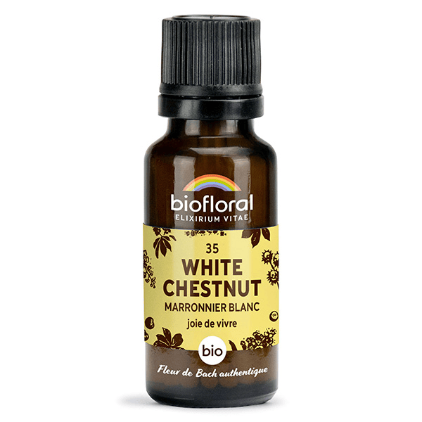 35 White Chestnut Marronier Blanc Granules Bio Fleur De Bach 19,5 Gr