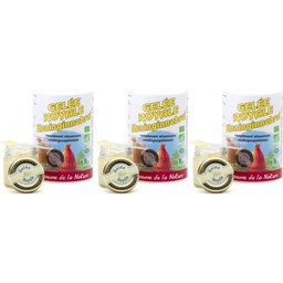 Royaume de la nature Gelée Royale