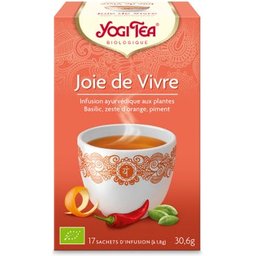 Infusion Ayurvédique Joie de Vivre Bio 17 sachets de 1,8g