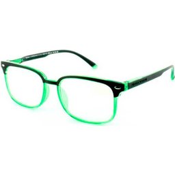 Lunettes Protecvision Koala Green +1.00 1pc