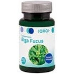 Fucus d'algue Comprimidos
