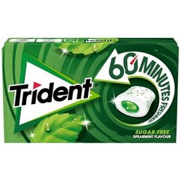 Pastilles Menthe Verte 60 Minutes 22g