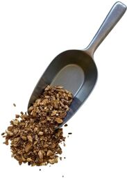 Tisane Gentiane jaune racine extra Gentiana lutea.