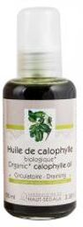 Huile Végétale Bio de Calophylle Biologique - Flacon-Pompe 100 ml