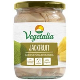 Jackfruit Bio 500g