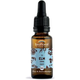 11 - Elm - Orme - 20 ml