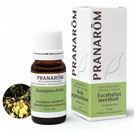 Huile essentielle Eucalyptus Mentholé flacon 10ml