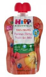 100% Fruits Gourde Pommes Pêches Fruits des Bois dès 4/6 Mois Bio 90 g - Gourde 90 g