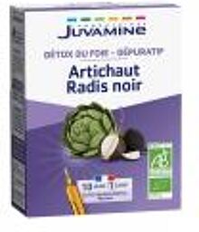 Radis Noir Artichaut 10 Unités - Boîte 10 ampoules
