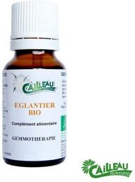 Eglantier gemmothérapie BIO.