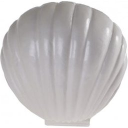 Sea Treasures Shell Baume à Lèvres 1ut