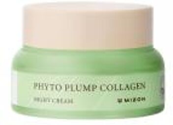 Phyto Plump Collagen Night Cream Hydratante 50 ml - Pot 50 ml