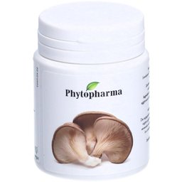 Kitosan extrait de Chitosan