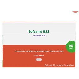 B12 - Vitamine B12 pour chiens et chats