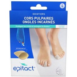 Doigtiers Epithelium 26 Cors Pulpaires TL 2uts